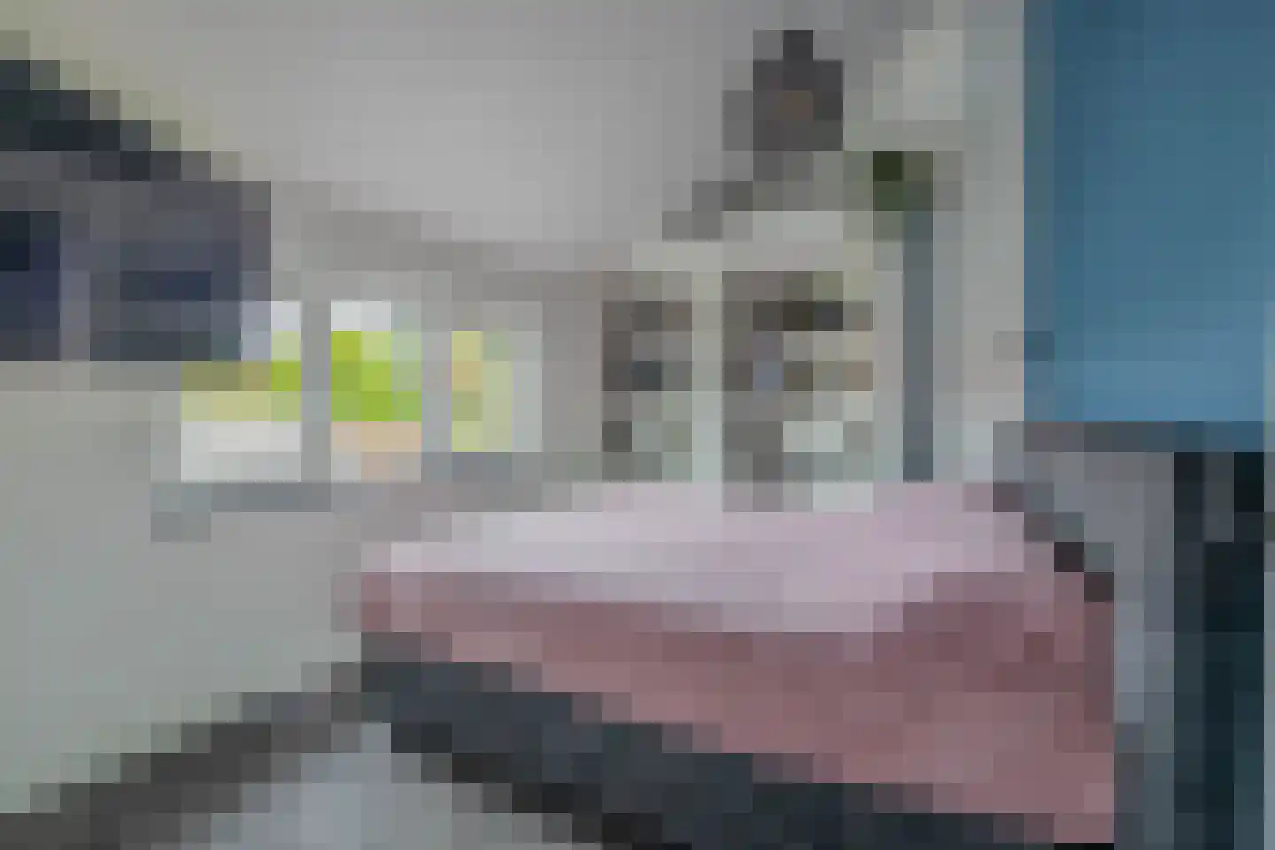 Binnenweg 28 Schijndel thumbnail 26