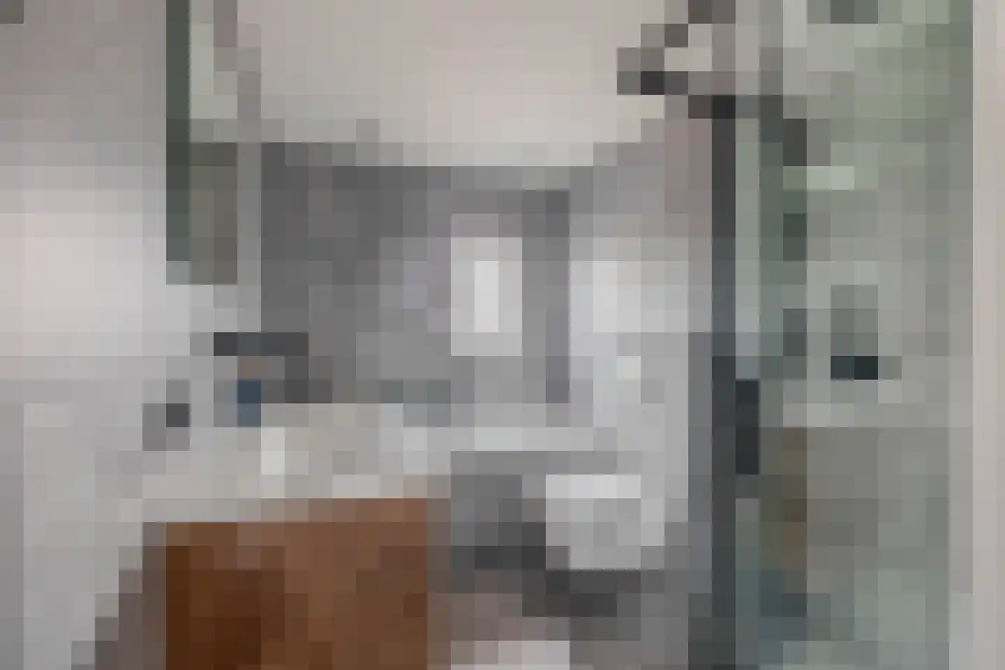 Binnenweg 28 Schijndel thumbnail 30