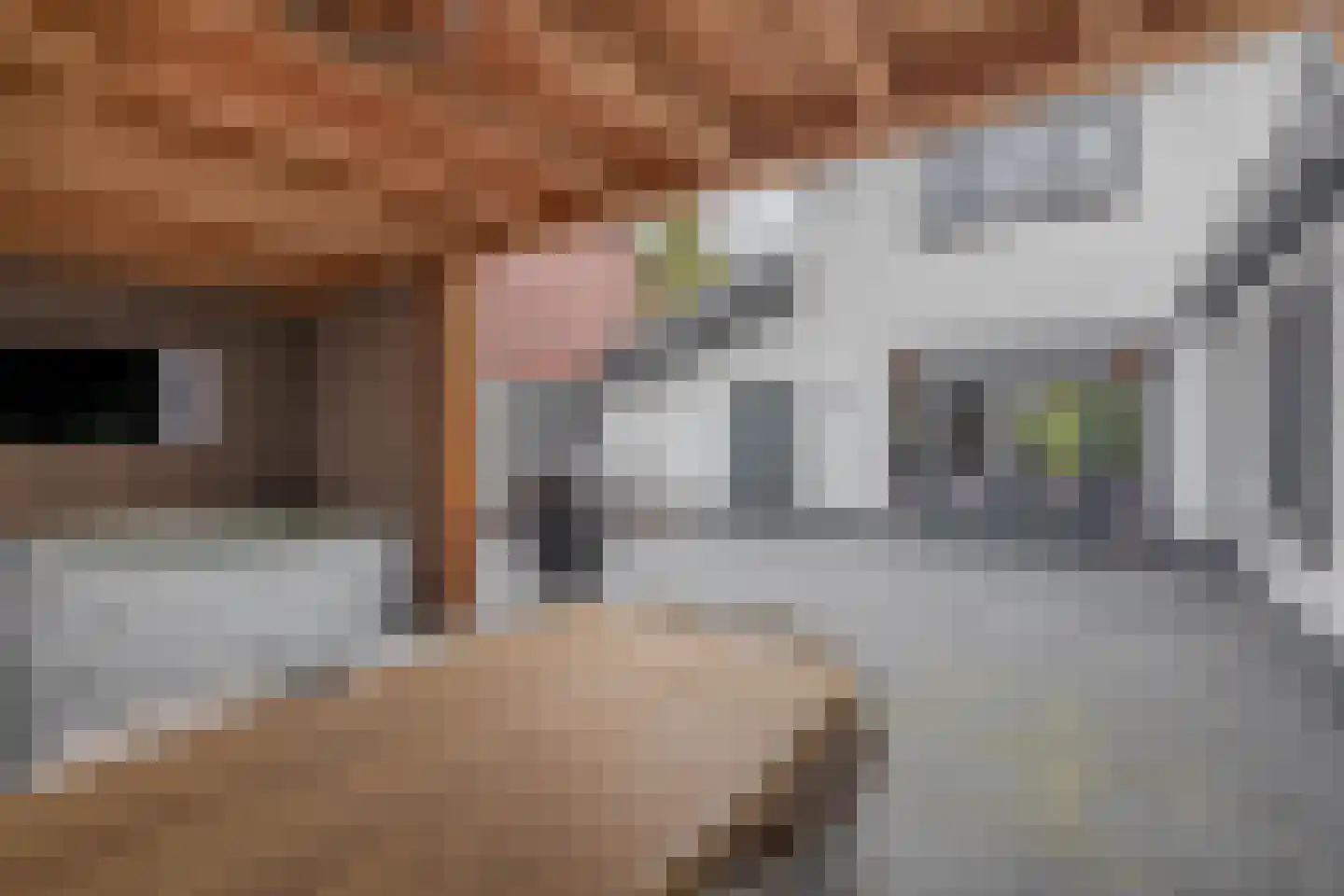 Binnenweg 28 Schijndel thumbnail 31