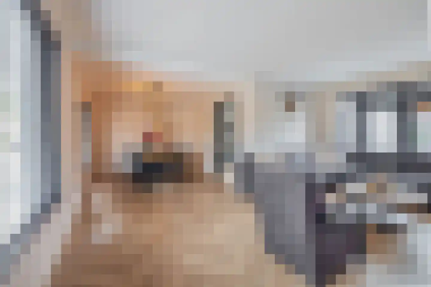 Binnenweg 28 Schijndel thumbnail 6