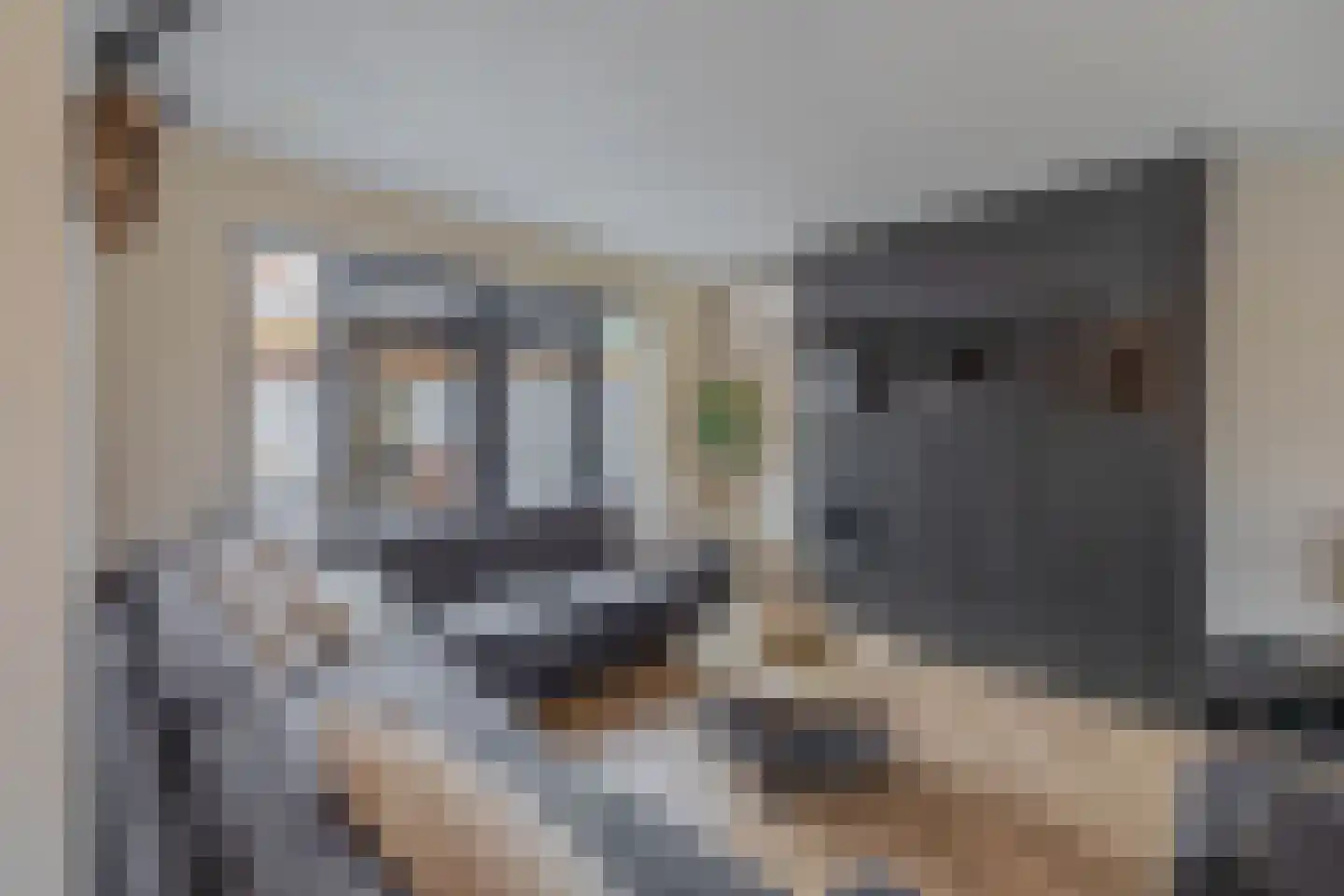 Binnenweg 28 Schijndel thumbnail 9