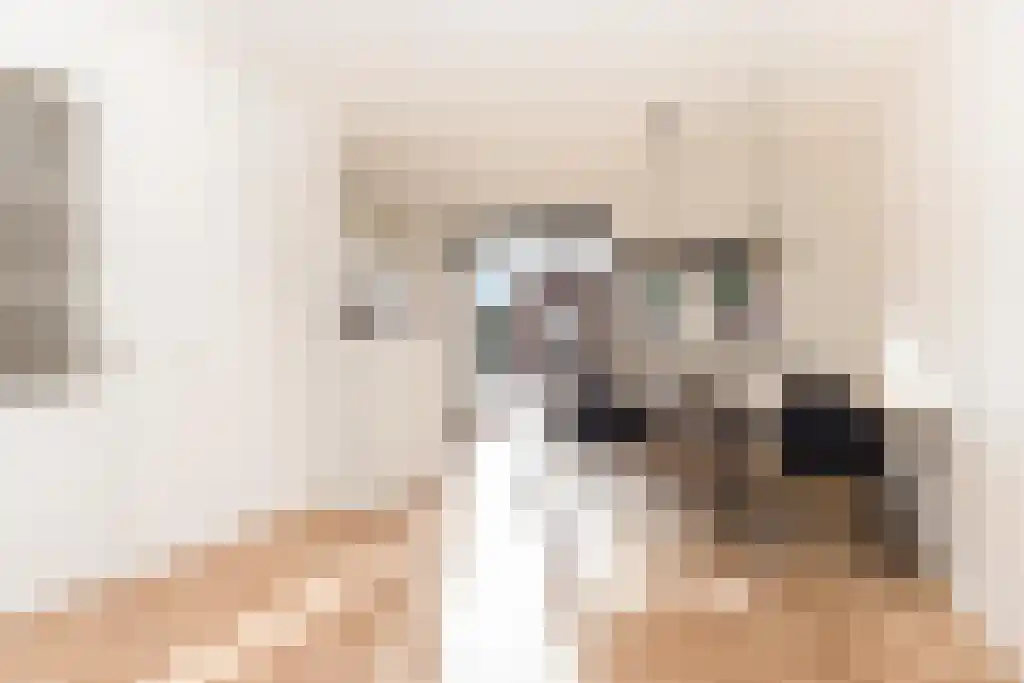 Binnenweg 29 Heemstede thumbnail 6