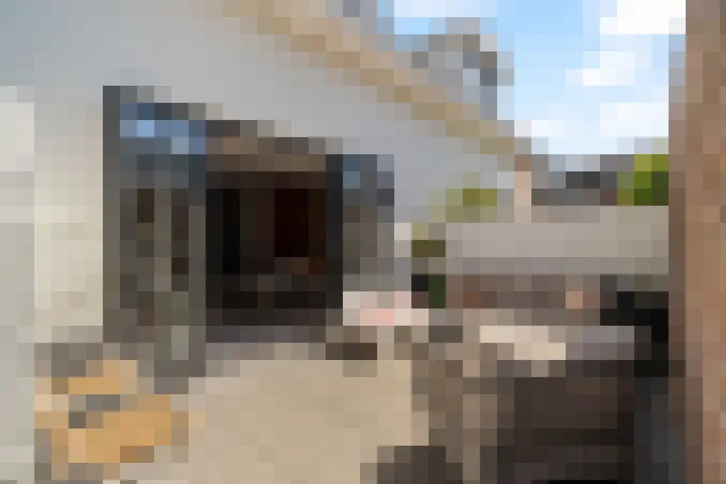 Binnenweg 3 A Noordwijk thumbnail 10