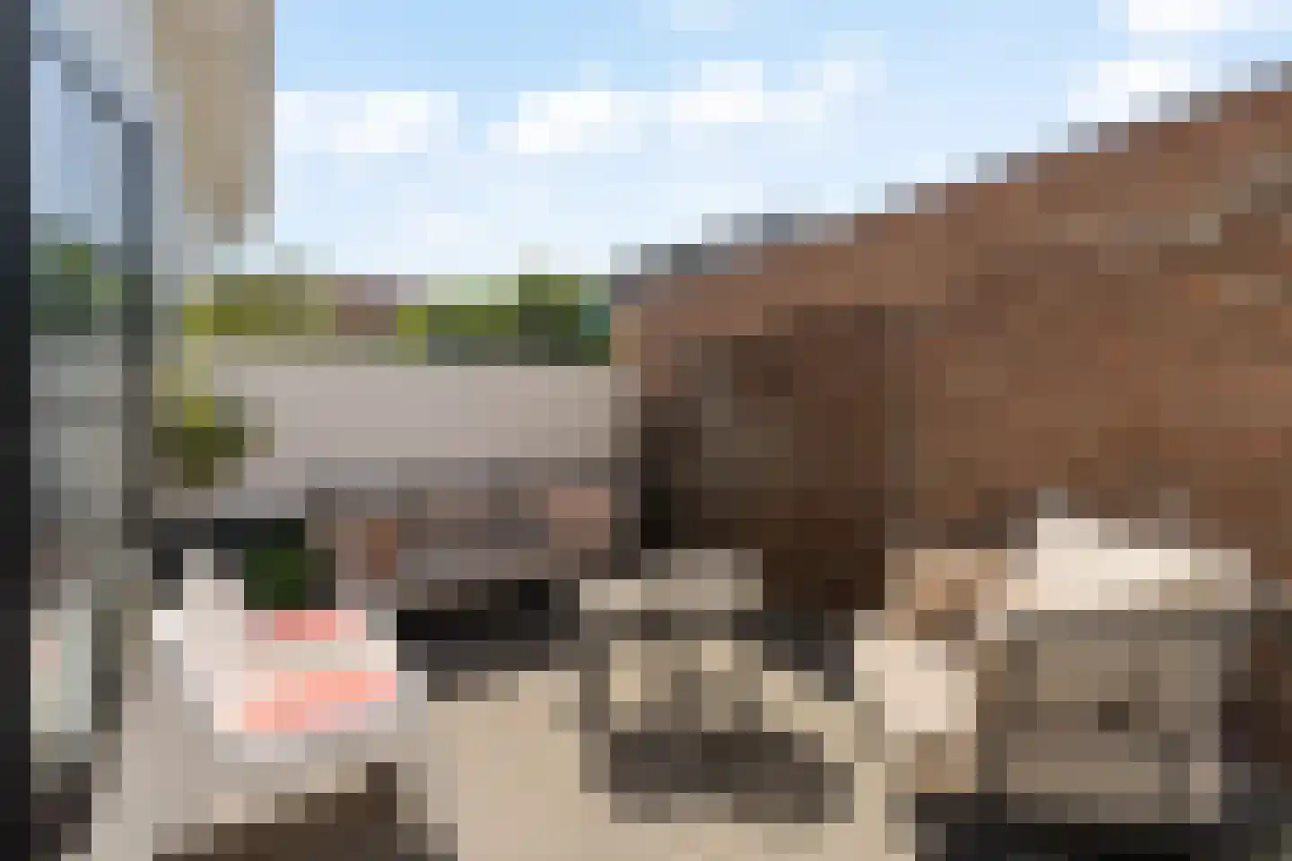 Binnenweg 3 A Noordwijk thumbnail 11