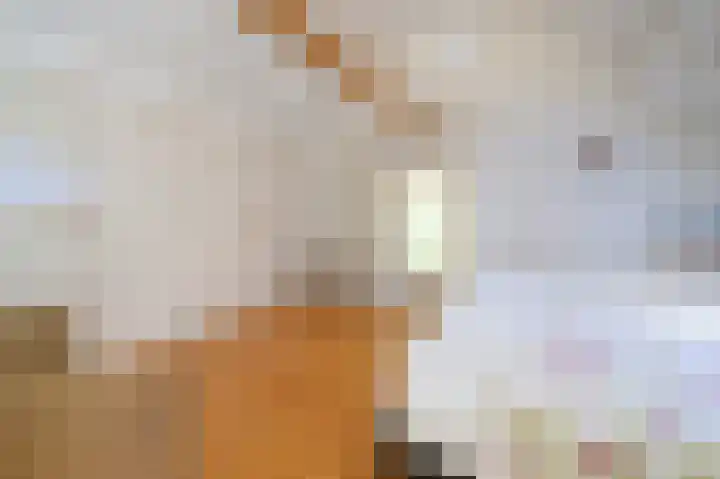 Binnenweg 3 Drempt thumbnail 20