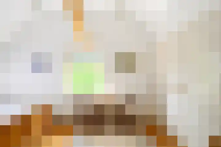 Binnenweg 3 Drempt thumbnail 22