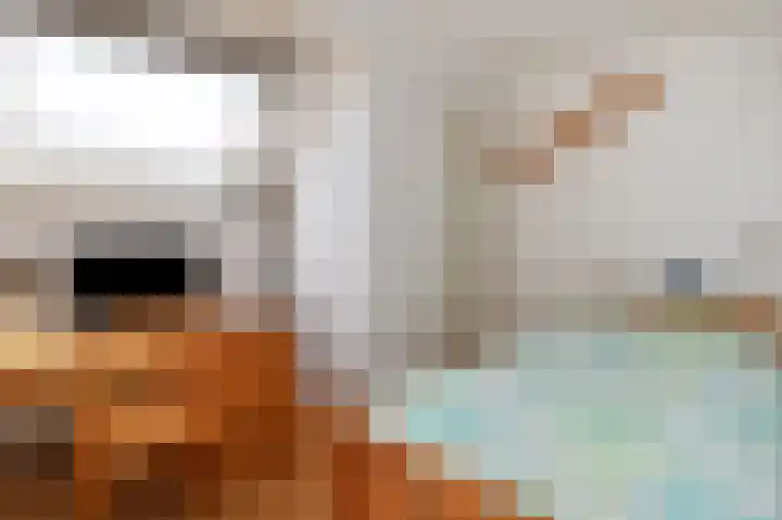Binnenweg 3 Drempt thumbnail 24