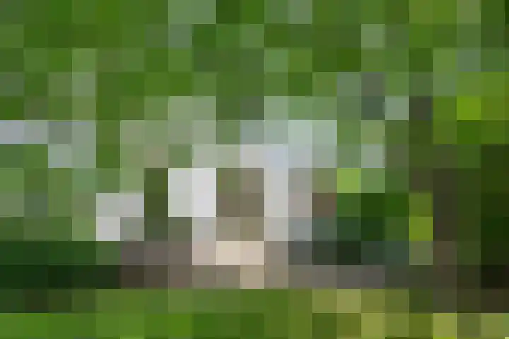 Binnenweg 3 Drempt thumbnail 29