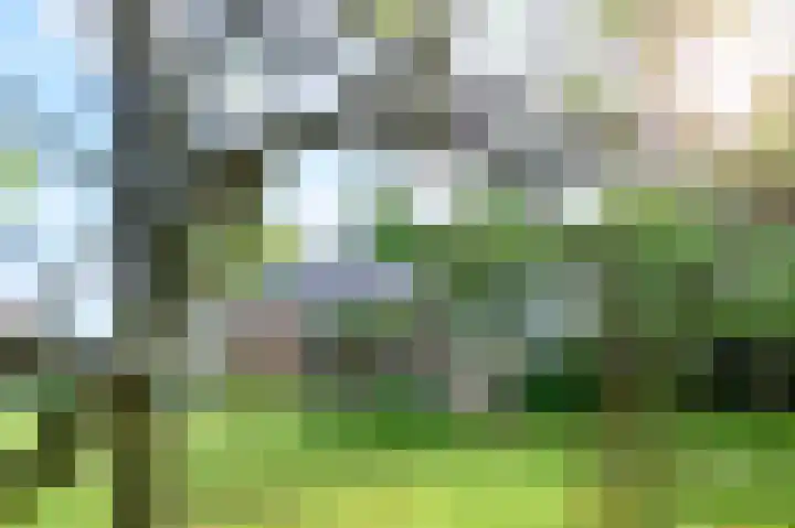Binnenweg 3 Drempt thumbnail 30