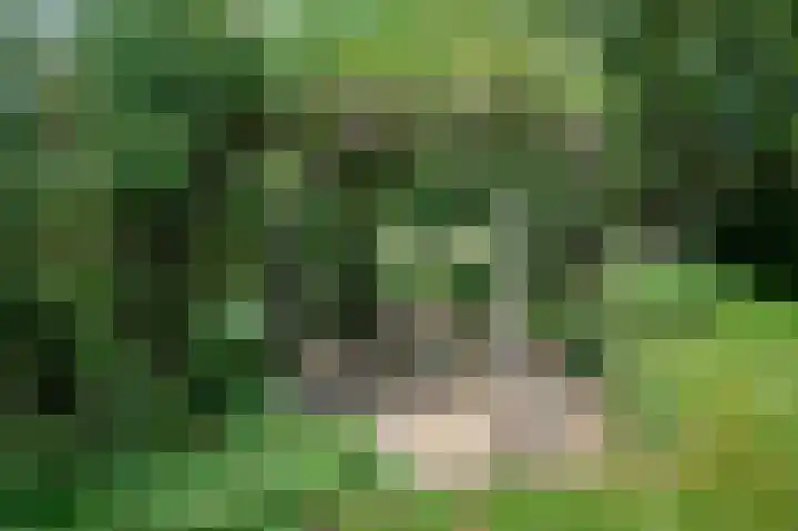 Binnenweg 3 Drempt thumbnail 31