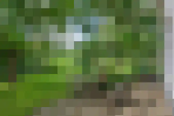 Binnenweg 3 Drempt thumbnail 32