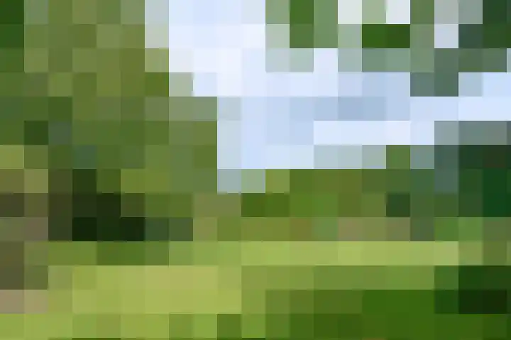 Binnenweg 3 Drempt thumbnail 33