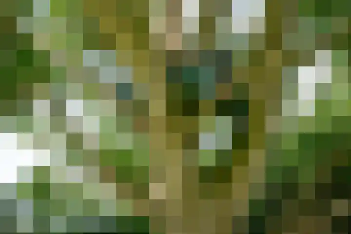 Binnenweg 3 Drempt thumbnail 34