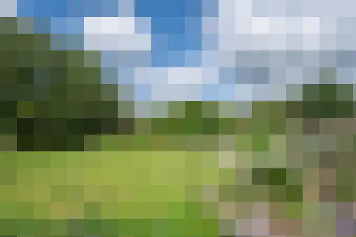 Binnenweg 3 Drempt thumbnail 35