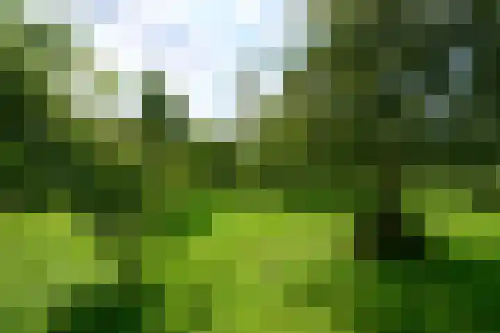 Binnenweg 3 Drempt thumbnail 36