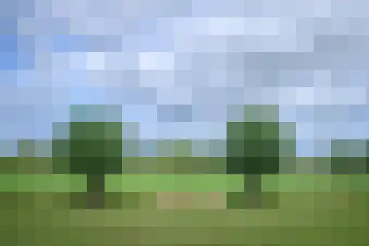 Binnenweg 3 Drempt thumbnail 37