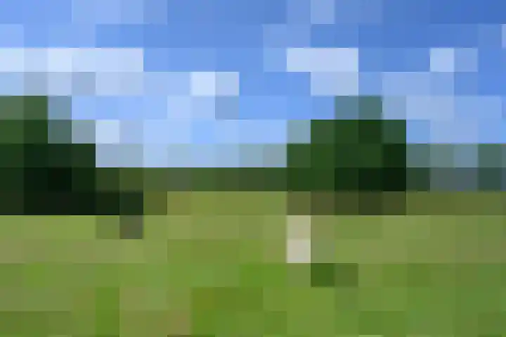 Binnenweg 3 Drempt thumbnail 38