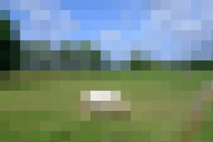 Binnenweg 3 Drempt thumbnail 39