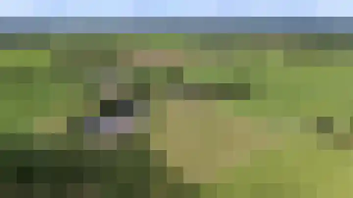 Binnenweg 3 Drempt thumbnail 41