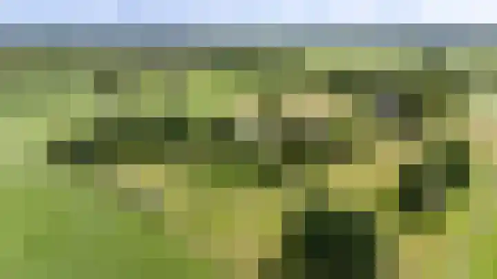Binnenweg 3 Drempt thumbnail 42