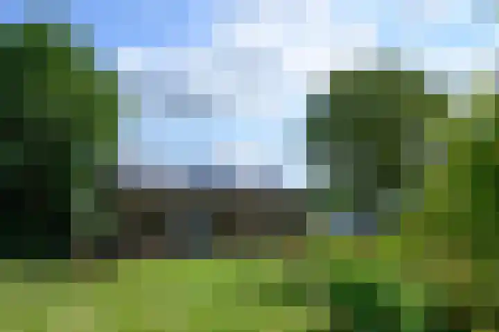 Binnenweg 3 Drempt thumbnail 6