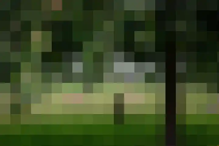 Binnenweg 3 Drempt thumbnail 7