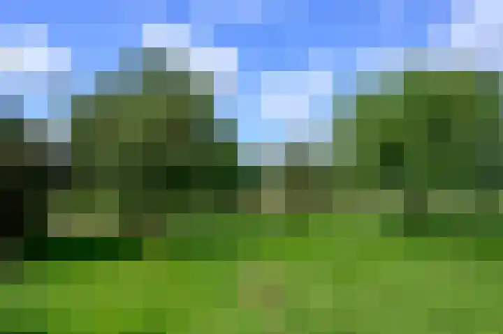 Binnenweg 3 Drempt thumbnail 8