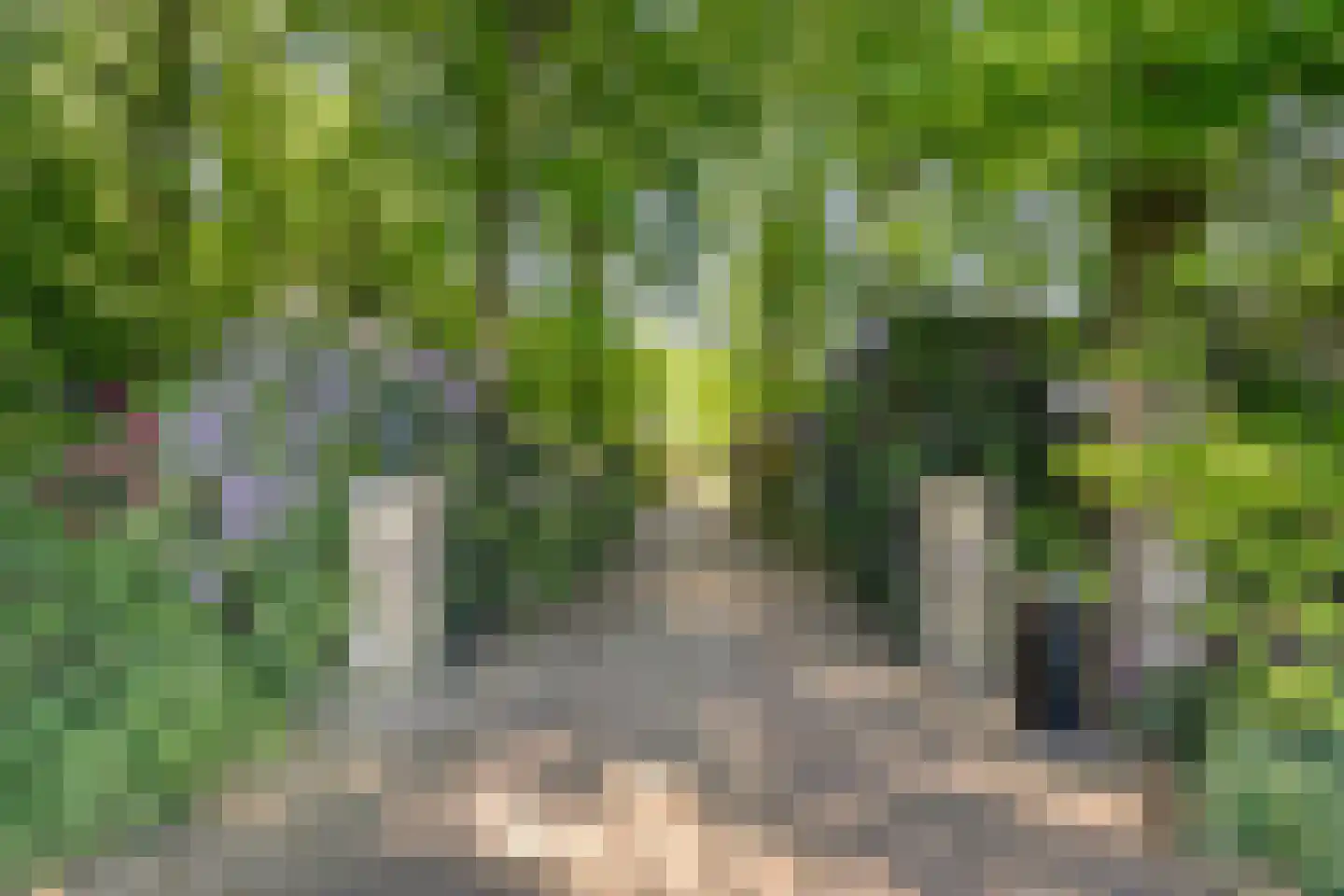 Binnenweg 3 Eesveen thumbnail 10