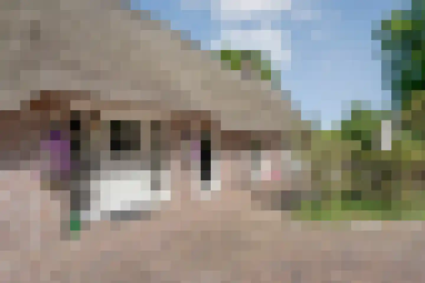 Binnenweg 3 Eesveen thumbnail 17