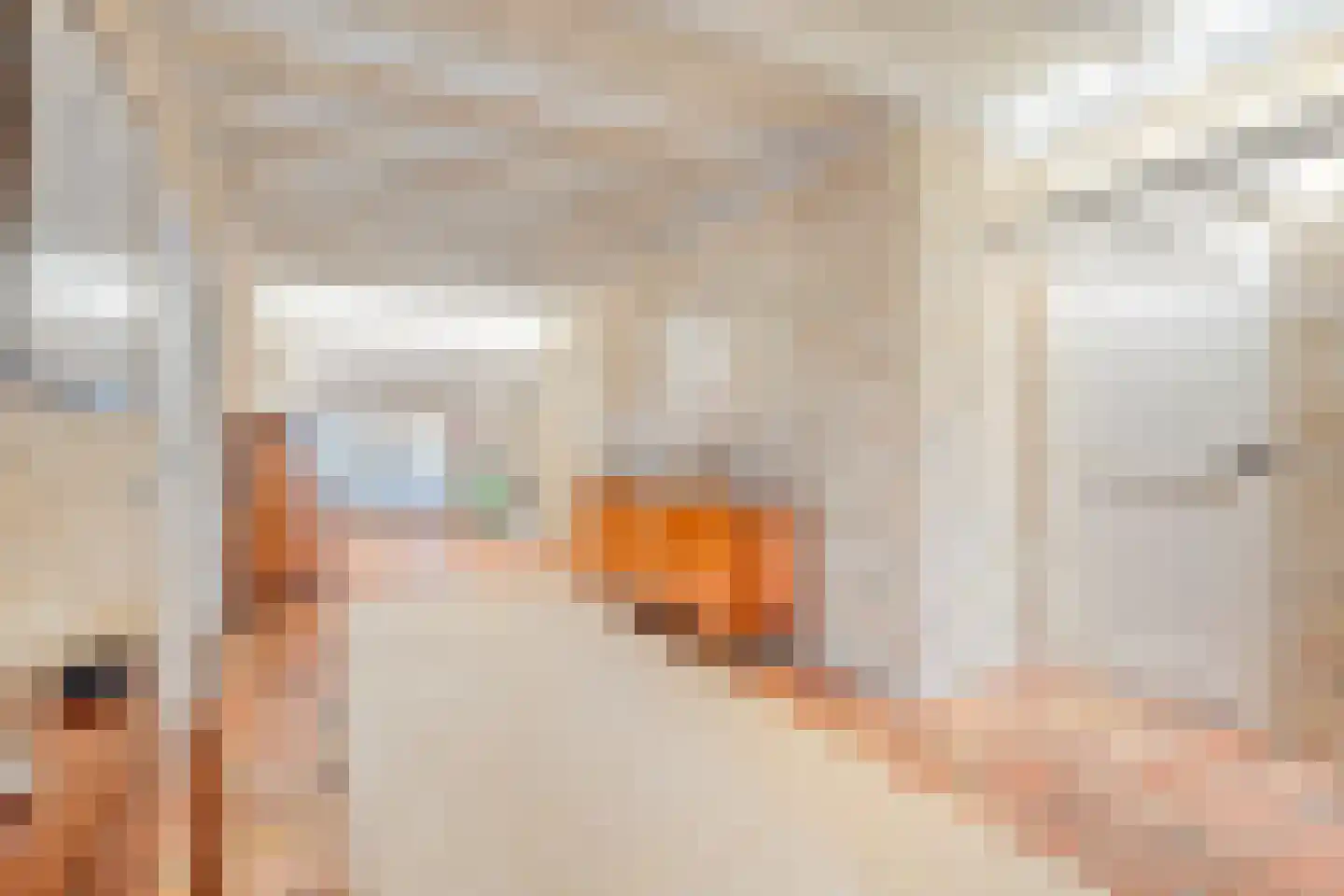 Binnenweg 3 Eesveen thumbnail 22