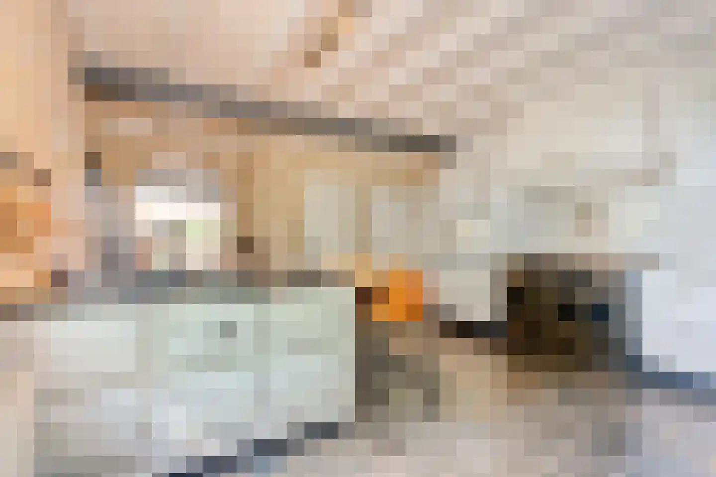 Binnenweg 3 Eesveen thumbnail 34