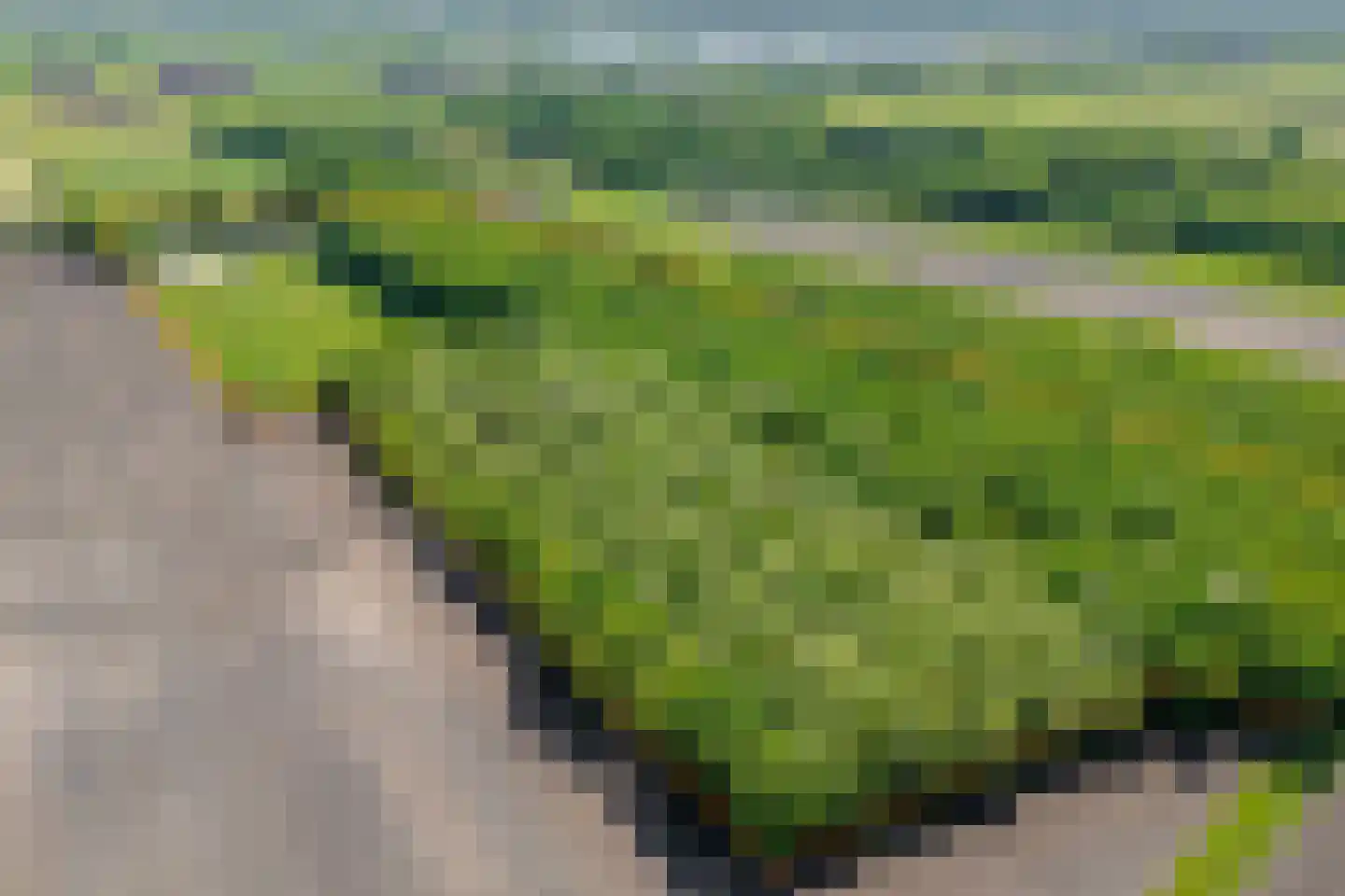 Binnenweg 3 Eesveen thumbnail 4