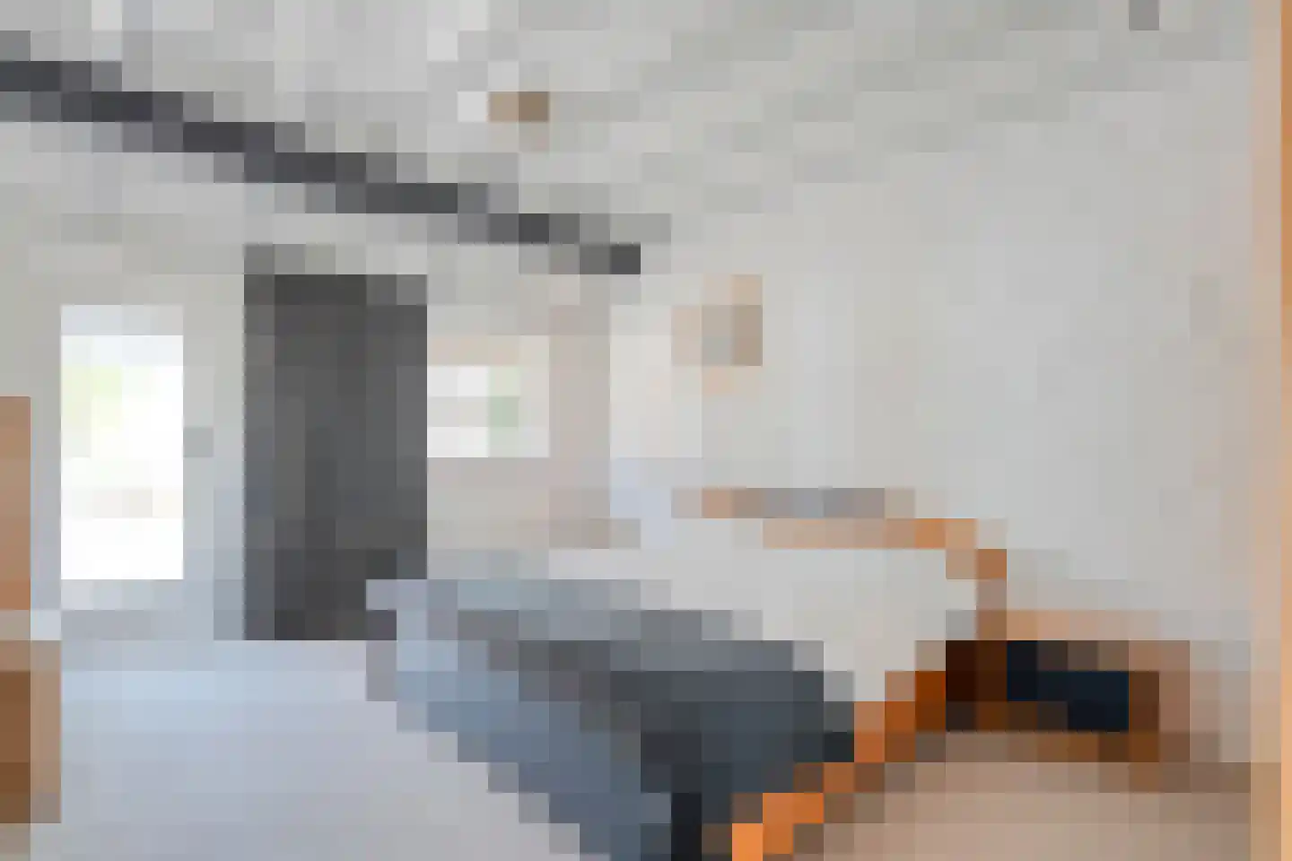Binnenweg 3 Eesveen thumbnail 48