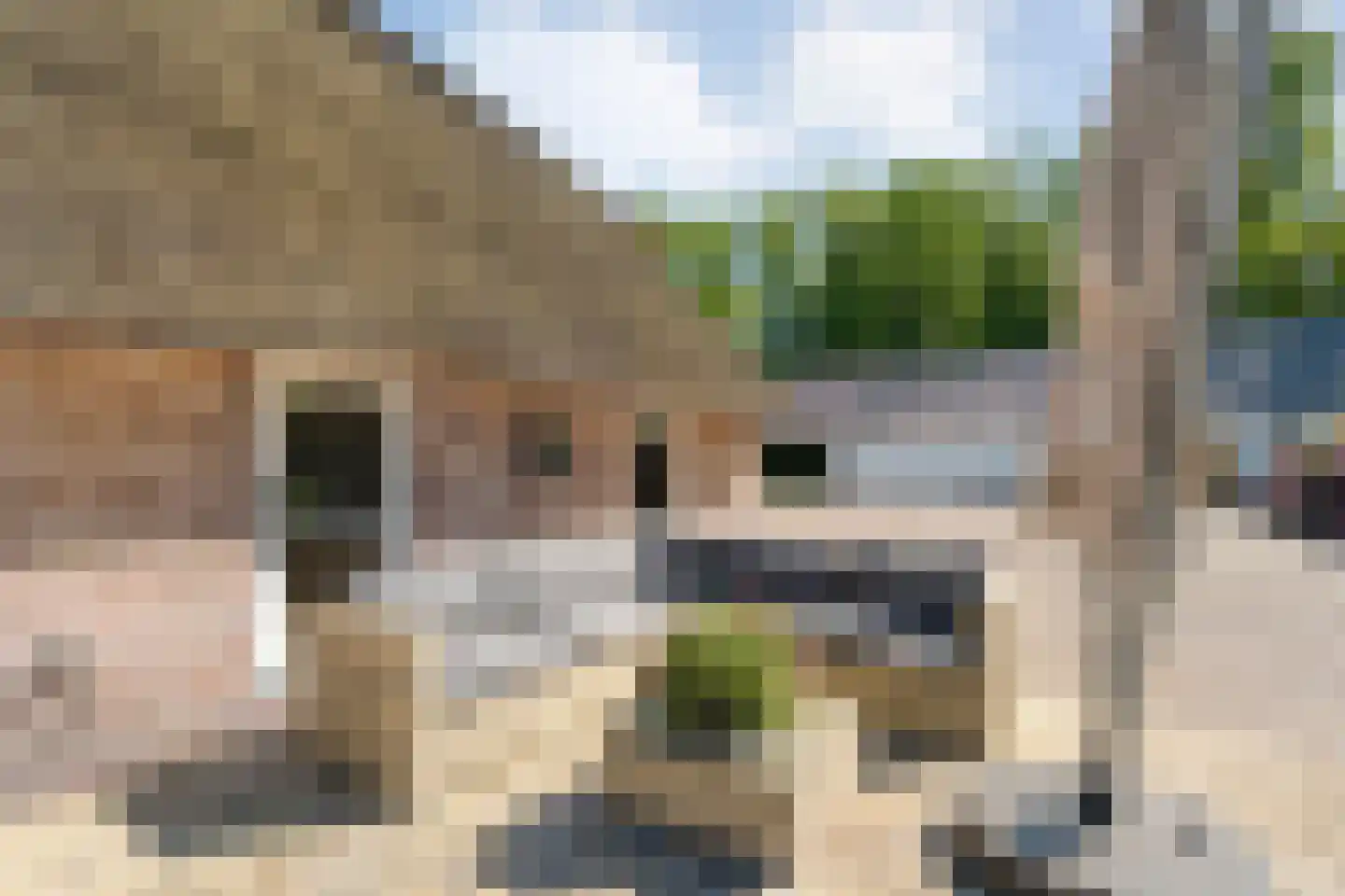 Binnenweg 3 Eesveen thumbnail 62