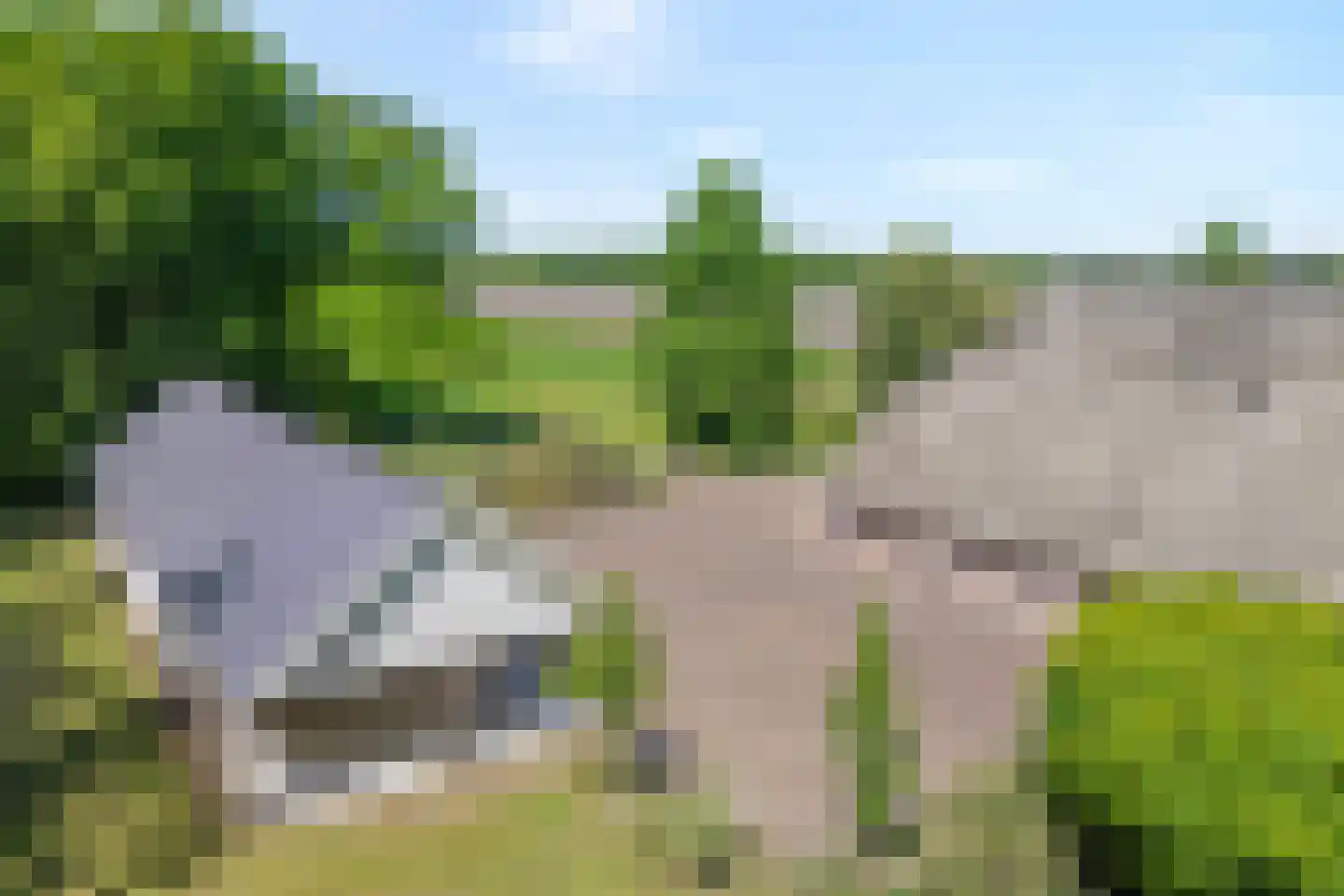 Binnenweg 3 Eesveen thumbnail 71