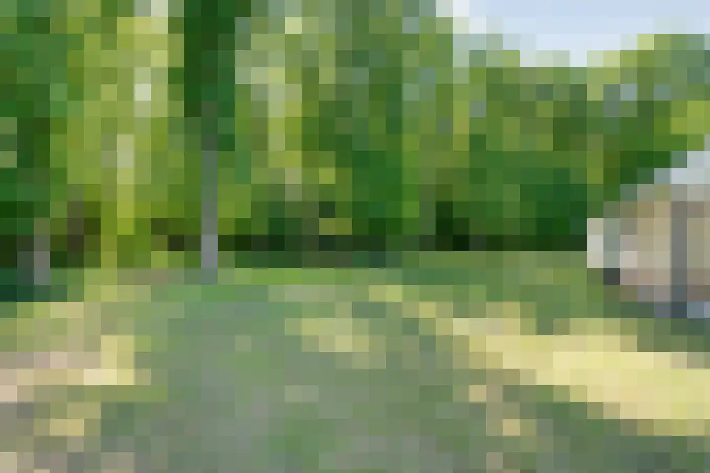 Binnenweg 3 Eesveen thumbnail 72