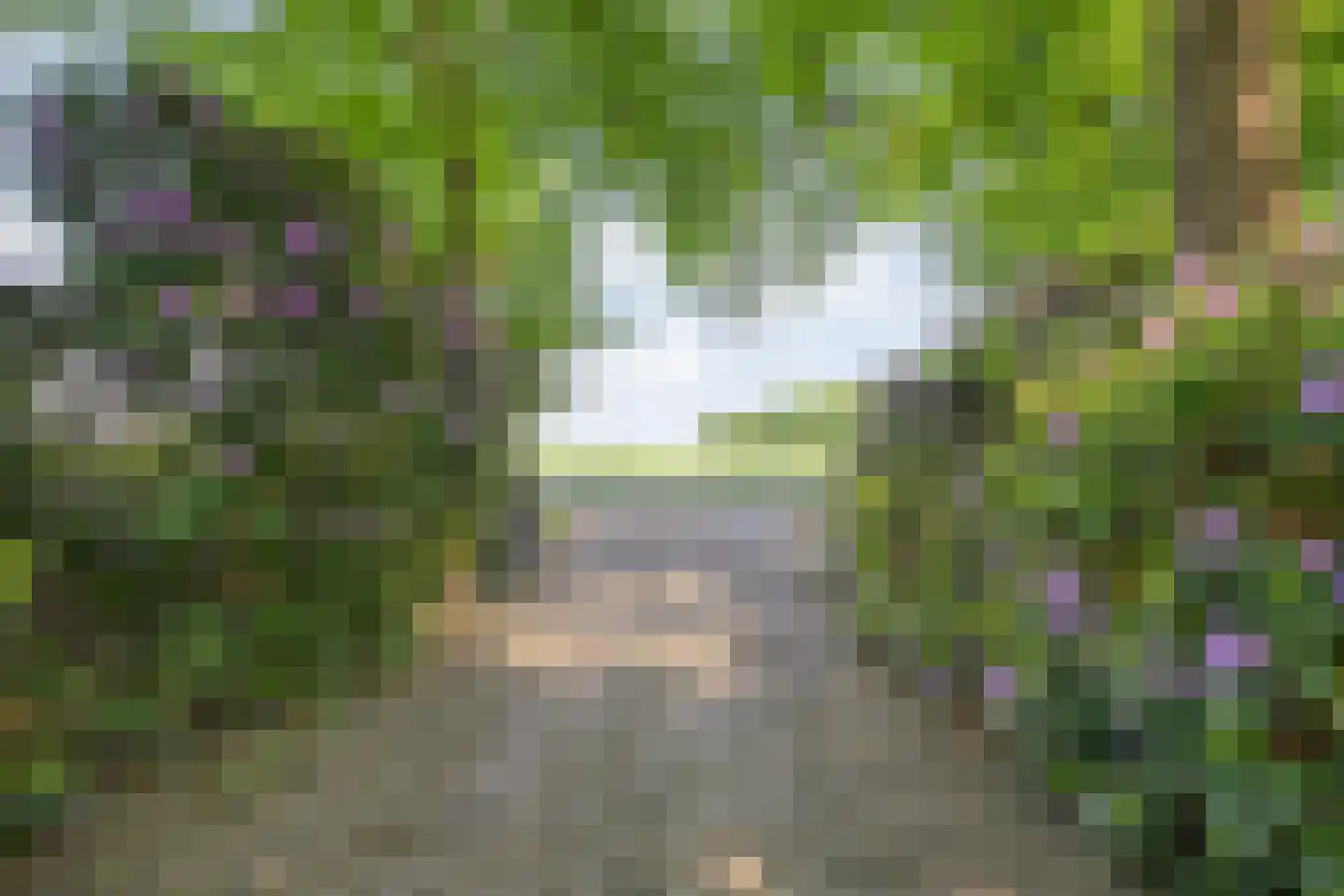 Binnenweg 3 Eesveen thumbnail 75