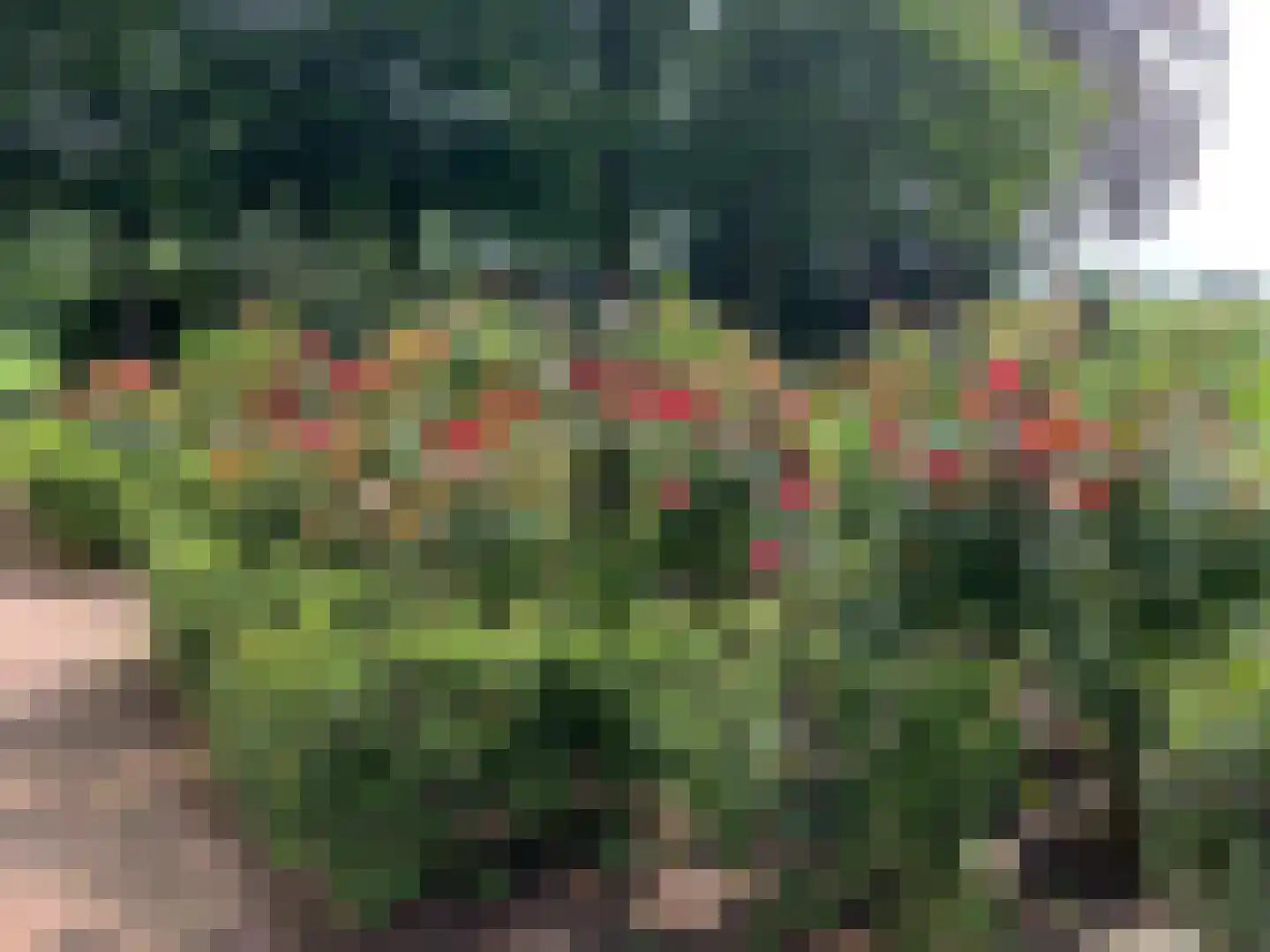 Binnenweg 3 Eesveen thumbnail 77