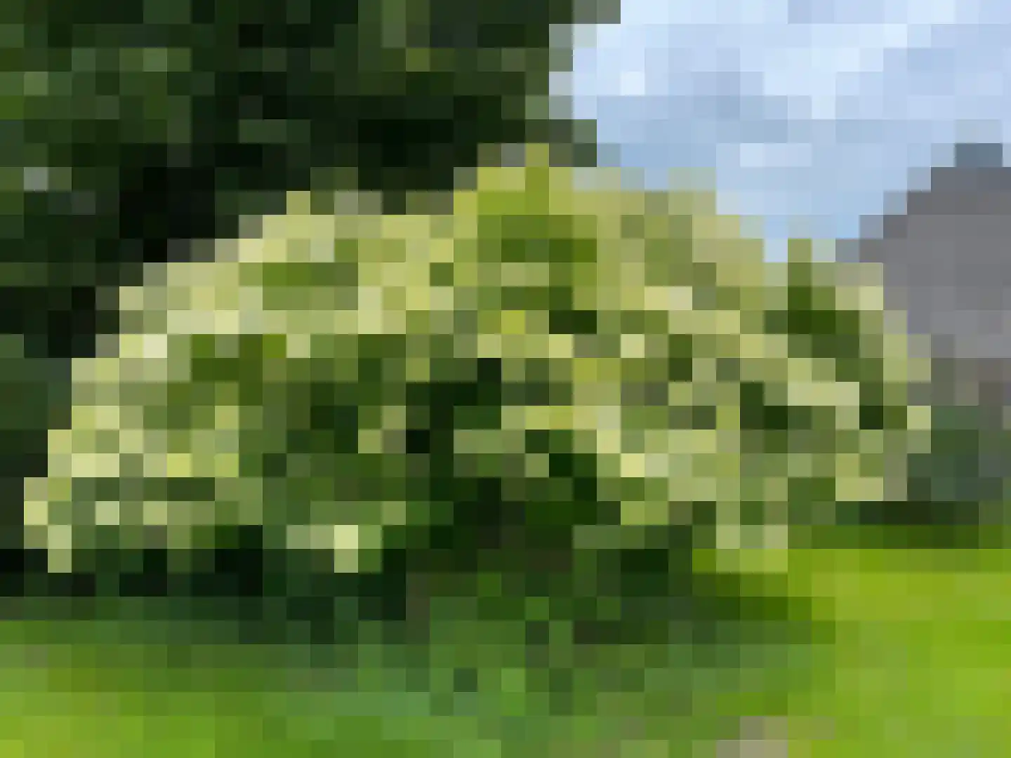 Binnenweg 3 Eesveen thumbnail 78