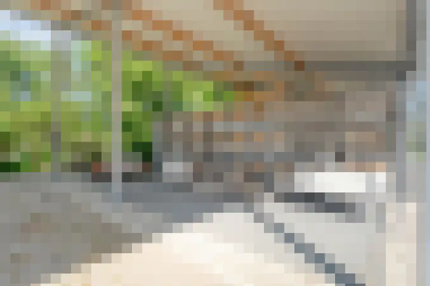 Binnenweg 3 Eesveen thumbnail 81