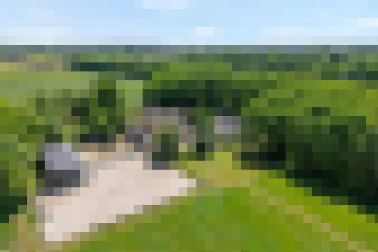 Binnenweg 3 Eesveen thumbnail 82