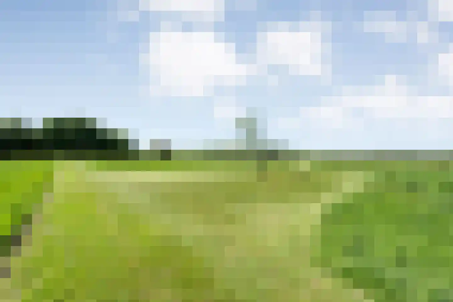 Binnenweg 3 Eesveen thumbnail 83