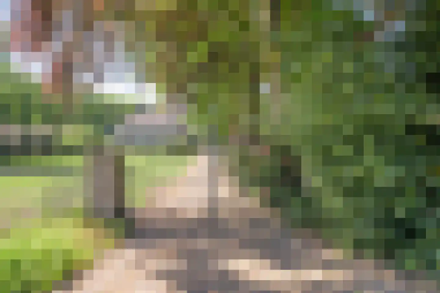 Binnenweg 3 Eesveen thumbnail 9