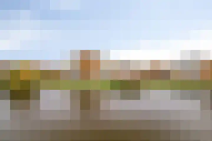 Binnenweg 30 8 Maarssen thumbnail 9