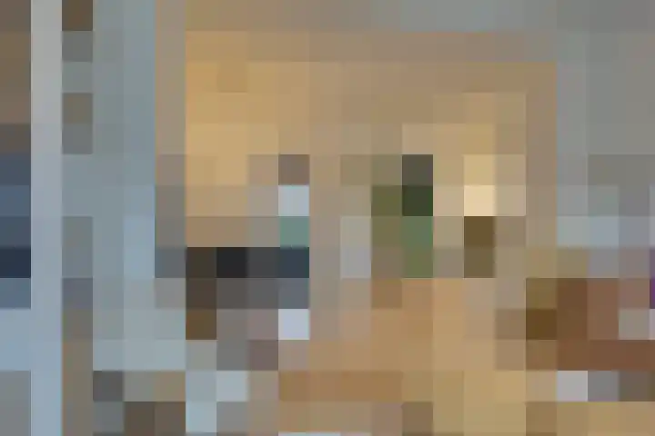 Binnenweg 30 Melissant thumbnail 11