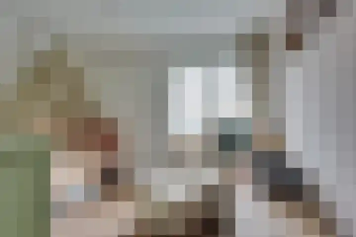 Binnenweg 30 Melissant thumbnail 27