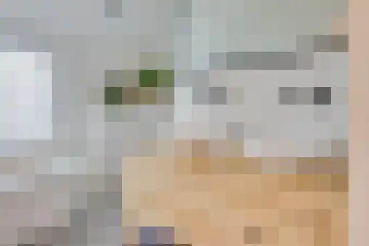 Binnenweg 30 Melissant thumbnail 31