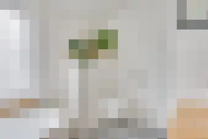 Binnenweg 30 Melissant thumbnail 32