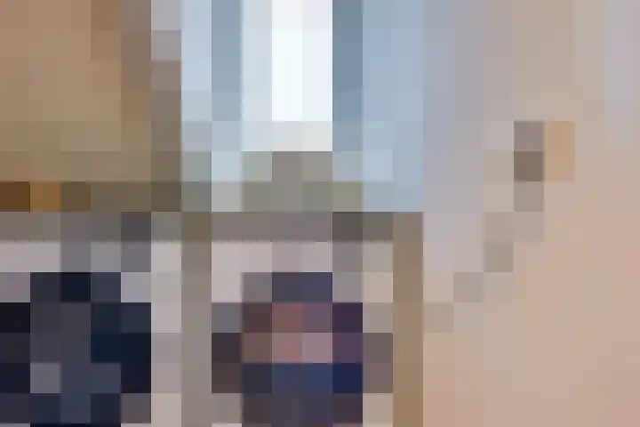 Binnenweg 30 Melissant thumbnail 35