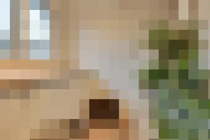 Binnenweg 30 Melissant thumbnail 39